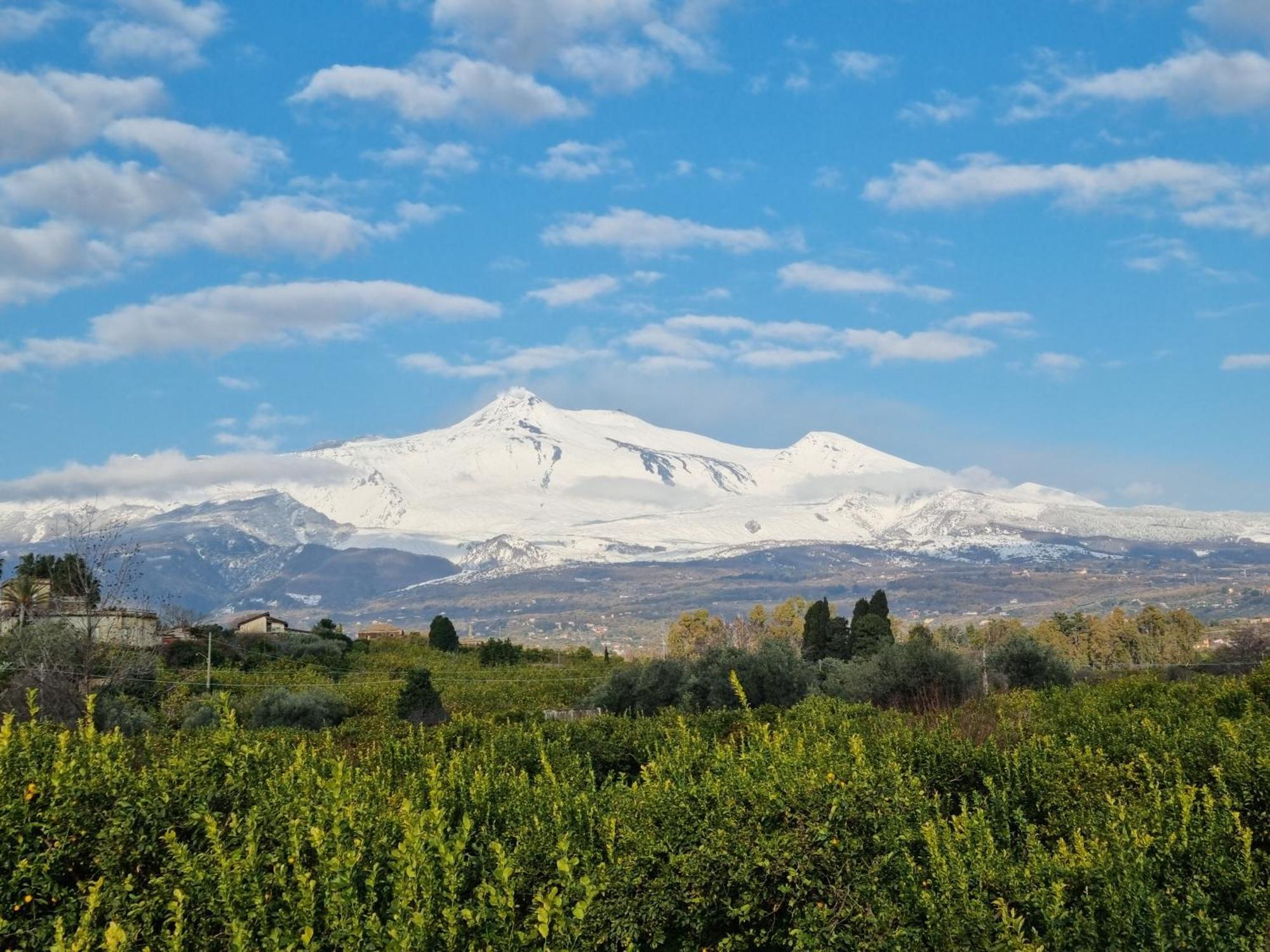 Luxury Historic Residence With Heated Pool Near Catania, Taormina, The Sea And Mount Etna 加里 外观 照片